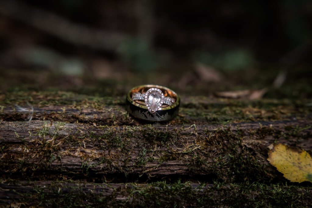 smoky mountain marriage license